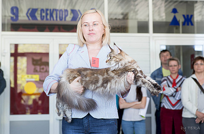 click for enlarge 1920 X 1261 605.7 Kb picture