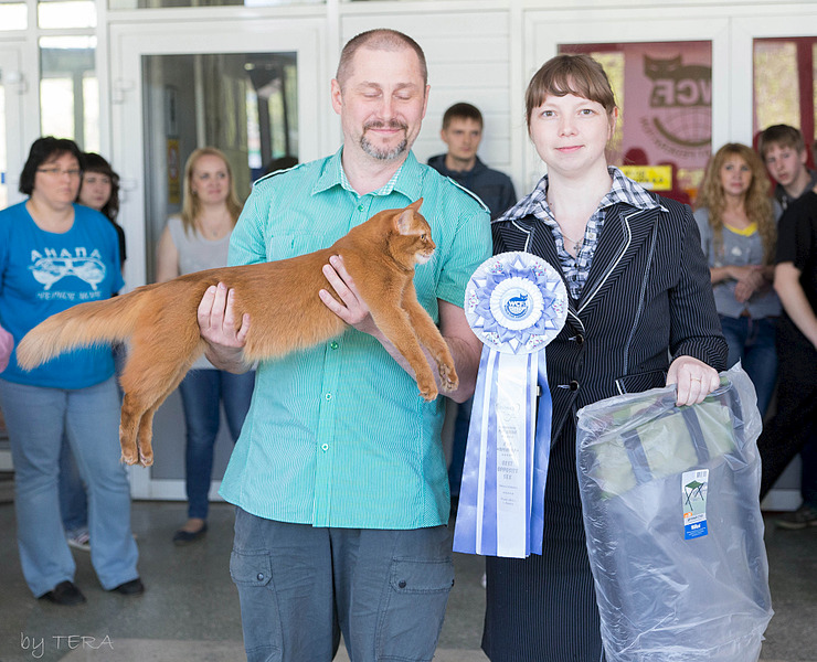 click for enlarge 1920 X 1556 927.7 Kb picture