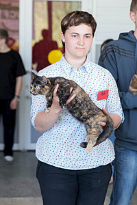 click for enlarge 1920 X 2879 413.1 Kb picture