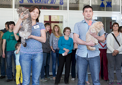 click for enlarge 1920 X 1329 682.2 Kb picture