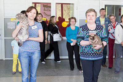 click for enlarge 1920 X 1280 628.4 Kb picture