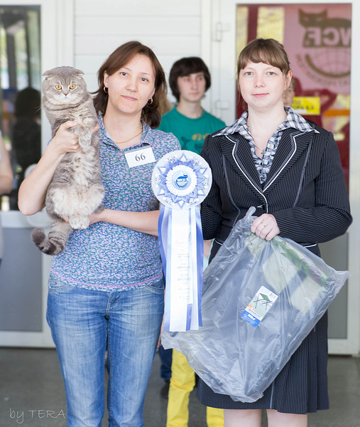 click for enlarge 1920 X 2271 402.1 Kb picture