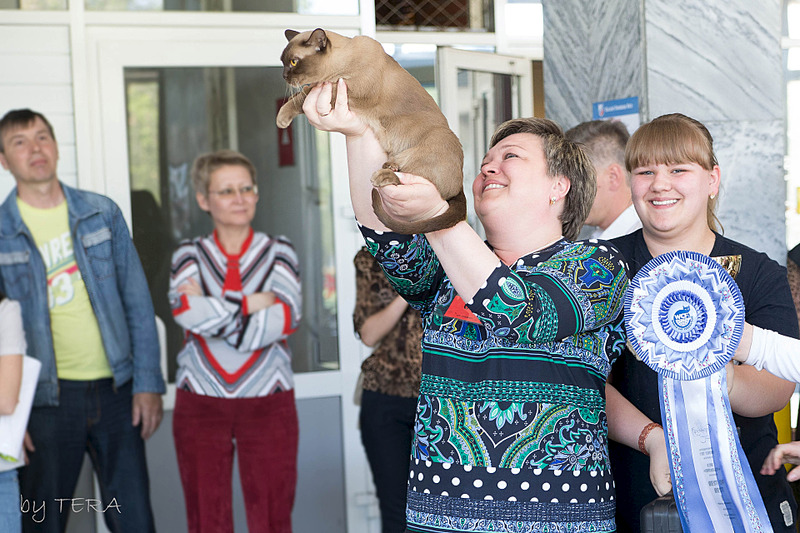 click for enlarge 1920 X 1280 752.2 Kb picture