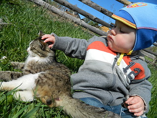 click for enlarge 1920 X 1440 1023.8 Kb picture