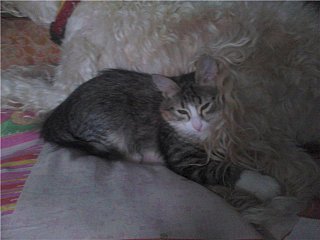 click for enlarge 640 X 480 39.3 Kb picture