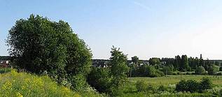 click for enlarge 798 X 349  51.8 Kb picture