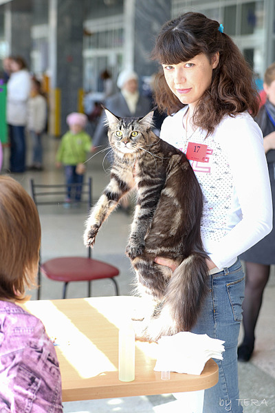 click for enlarge 1920 X 2880 403.7 Kb picture