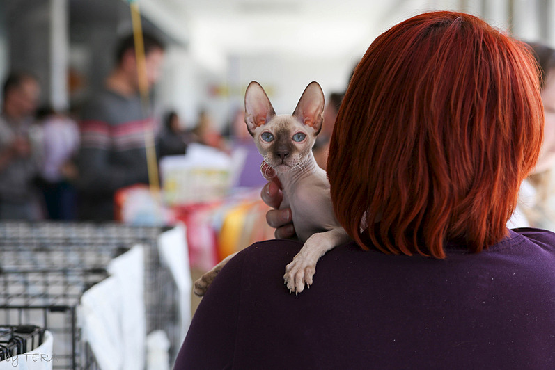 click for enlarge 1920 X 1279 441.5 Kb picture