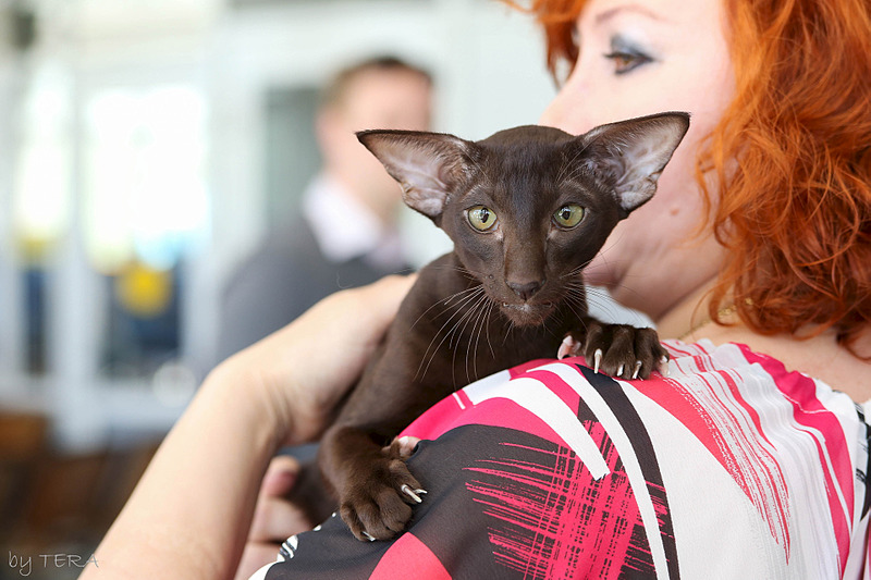 click for enlarge 1920 X 1280 529.3 Kb picture