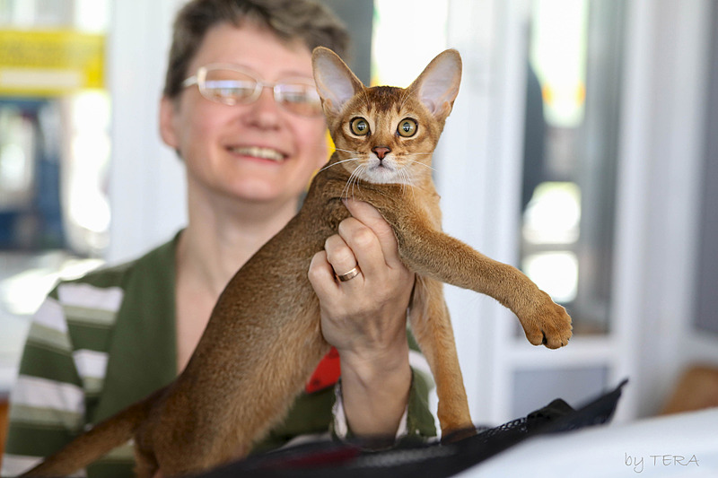 click for enlarge 1920 X 1280 385.8 Kb picture