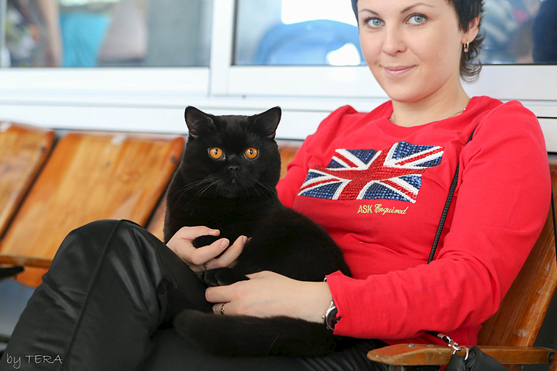 click for enlarge 1920 X 1280 456.8 Kb picture