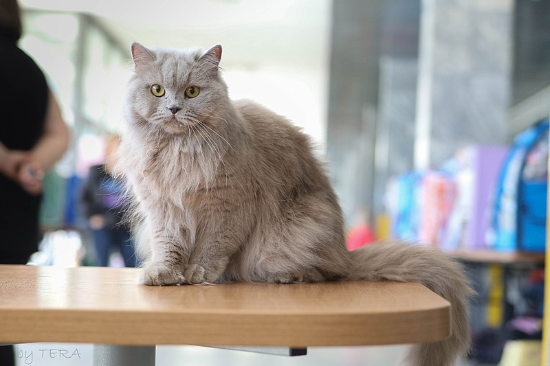 click for enlarge 1920 X 1280 445.9 Kb picture