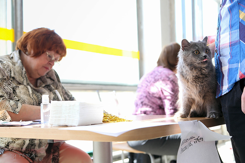 click for enlarge 1920 X 1280 495.5 Kb picture