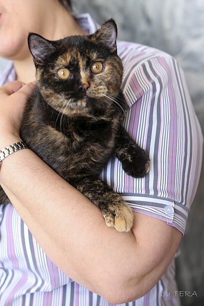 click for enlarge 1920 X 2879 442.8 Kb picture