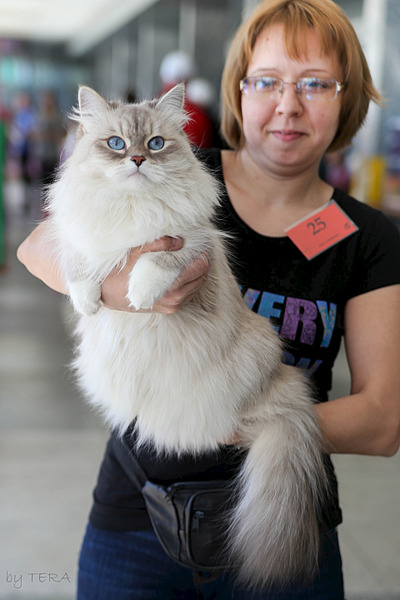 click for enlarge 1920 X 2879 850.6 Kb picture