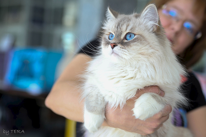 click for enlarge 1920 X 1280 441.6 Kb picture