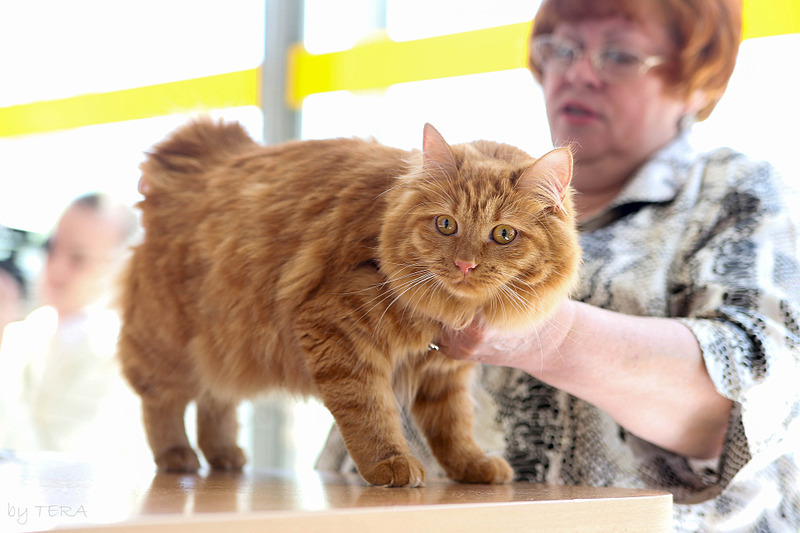 click for enlarge 1920 X 1280 428.7 Kb picture