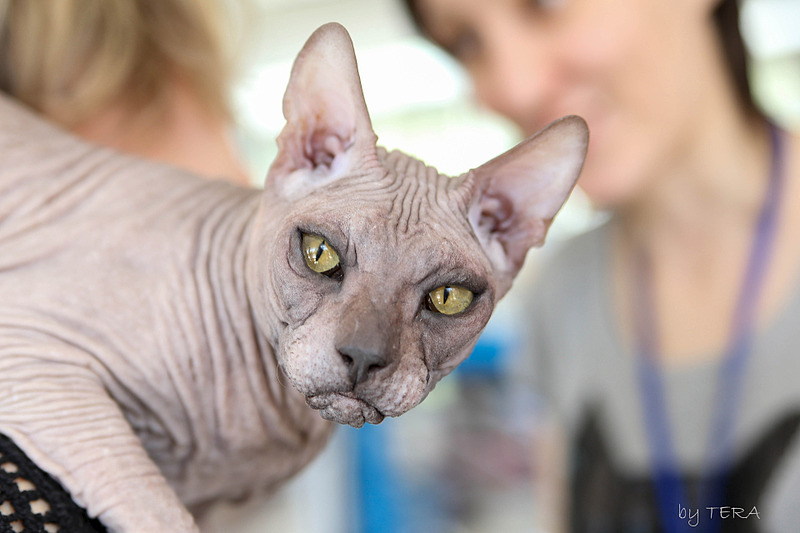 click for enlarge 1920 X 1280 376.5 Kb picture