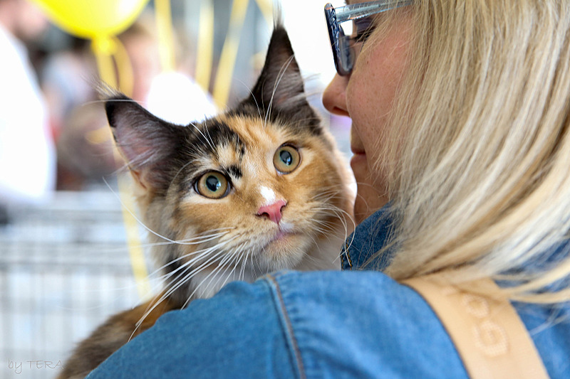 click for enlarge 1920 X 1280 505.5 Kb picture