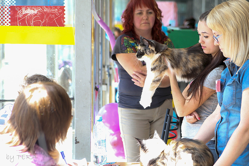 click for enlarge 1920 X 1279 656.5 Kb picture