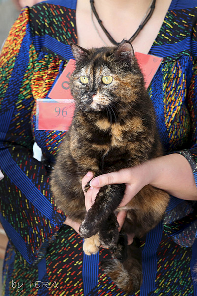 click for enlarge 1920 X 2880 552.3 Kb picture