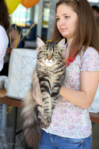 click for enlarge 1920 X 2880 419.9 Kb picture