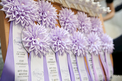 click for enlarge 1920 X 1280 501.4 Kb picture