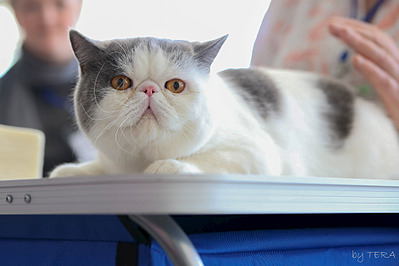 click for enlarge 1920 X 1279 376.8 Kb picture