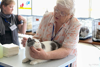 click for enlarge 1920 X 1280 468.7 Kb picture