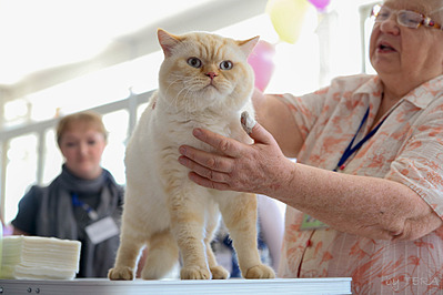 click for enlarge 1920 X 1280 432.9 Kb picture