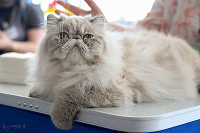 click for enlarge 1920 X 1280 460.9 Kb picture