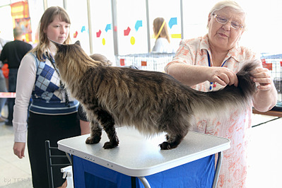 click for enlarge 1920 X 1280 607.8 Kb picture