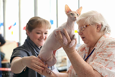 click for enlarge 1920 X 1280 490.4 Kb picture