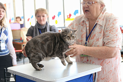 click for enlarge 1920 X 1280 632.1 Kb picture