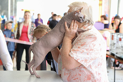 click for enlarge 1920 X 1280 583.3 Kb picture