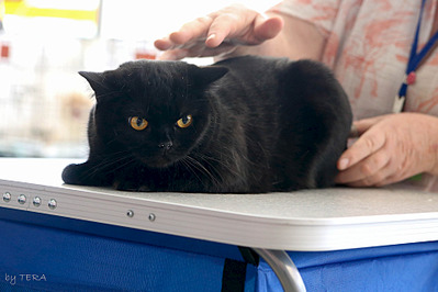 click for enlarge 1920 X 1279 477.1 Kb picture