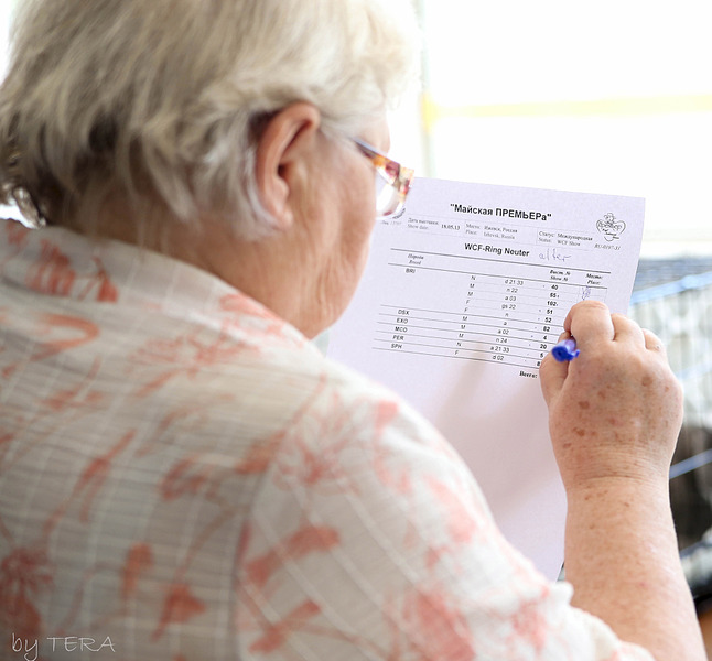 click for enlarge 1920 X 1781 486.6 Kb picture