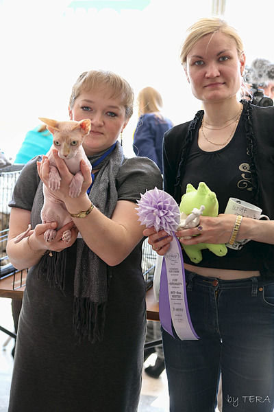 click for enlarge 1920 X 2880 367.0 Kb picture