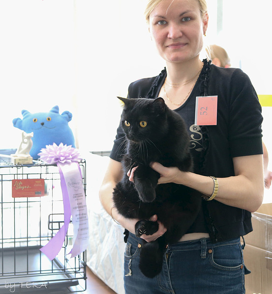 click for enlarge 1920 X 2080 610.9 Kb picture