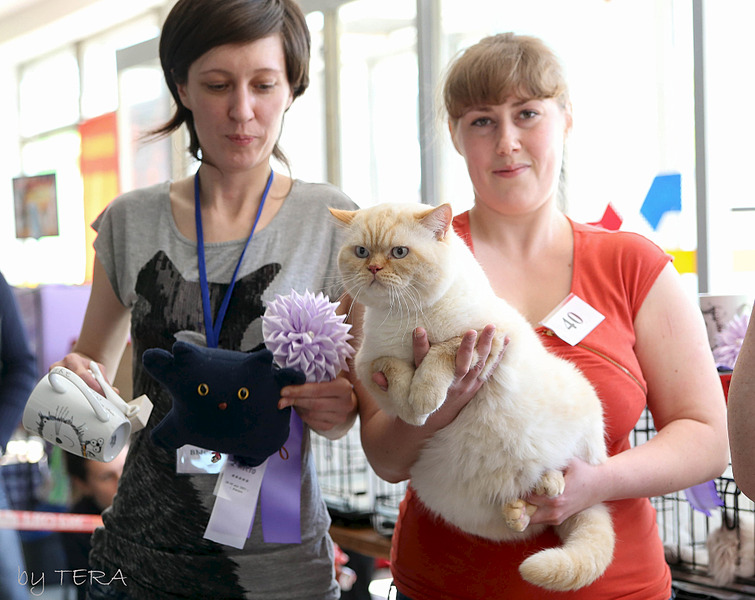 click for enlarge 1920 X 1523 535.2 Kb picture