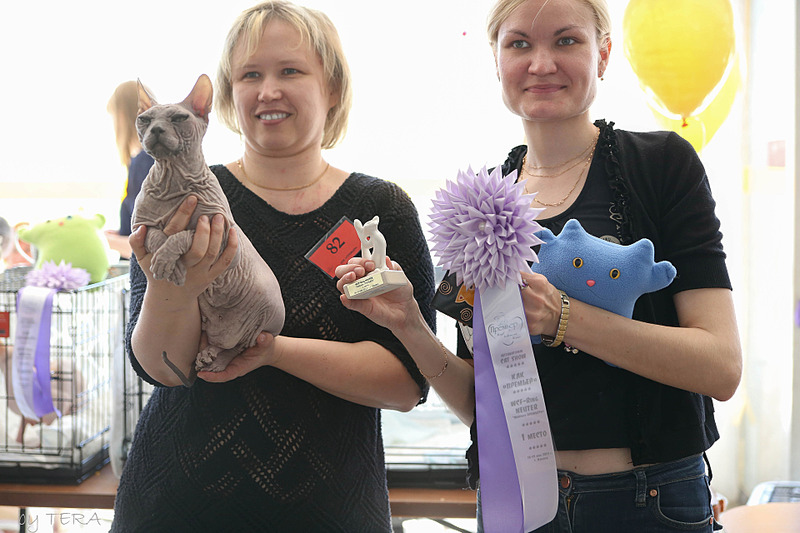 click for enlarge 1920 X 1280 477.1 Kb picture