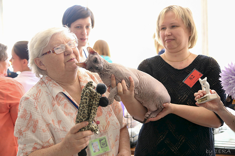 click for enlarge 1920 X 1280 516.7 Kb picture