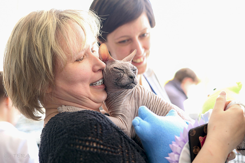 click for enlarge 1920 X 1280 452.5 Kb picture