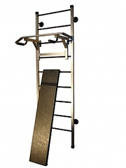 click for enlarge 248 X 330  38.0 Kb picture