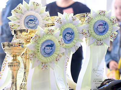 click for enlarge 1920 X 1426 639.9 Kb picture