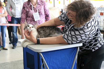 click for enlarge 1920 X 1279 619.7 Kb picture