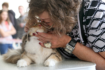 click for enlarge 1920 X 1280 585.6 Kb picture