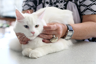 click for enlarge 1920 X 1279 402.9 Kb picture