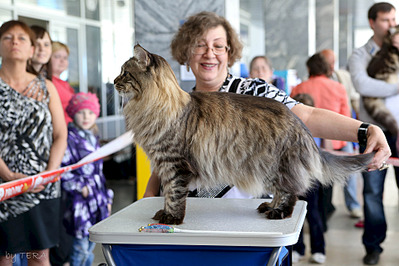 click for enlarge 1920 X 1279 610.0 Kb picture