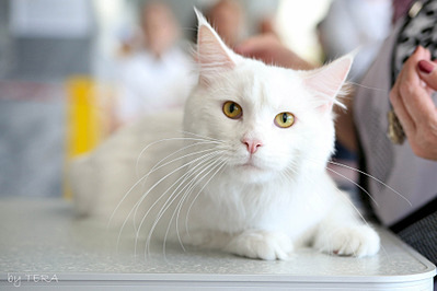 click for enlarge 1920 X 1279 367.5 Kb picture